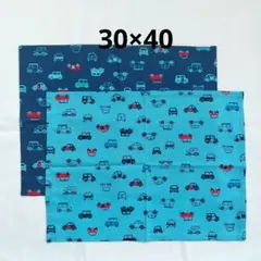 車柄ランチョンマット2枚セット