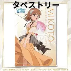 とある科学の超電磁砲　御坂美琴　タペストリー　⑤