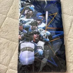 新品未開封　日本ハムファイターズ　HOKKAIDO20th レジェンドタオル