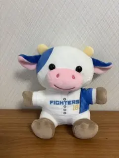 日本ハムファイターズ　山崎福也