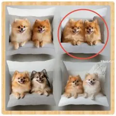 Item thumbnail for item c8ab272f-c1d8-4f03-8ad2-1771a3914810