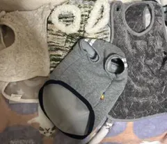 Item thumbnail for item e24ca64d-b872-471c-a181-e9178b633a94