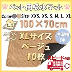 Item thumbnail for item c6d8f184-0786-479f-924f-5ce60993d431