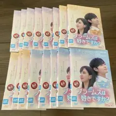 韓国ドラマ　ブラームスは好きですか？　レンタル落ち　dvd