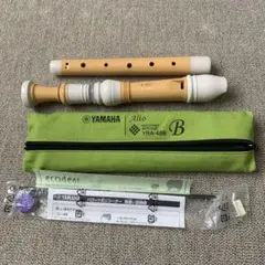 Item thumbnail for item 08f4414b-55fa-455b-9534-98c98cf947c3