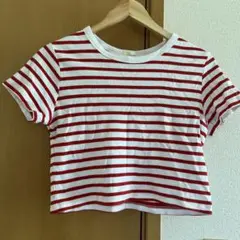 赤と白のストライプ クロップドTシャツ