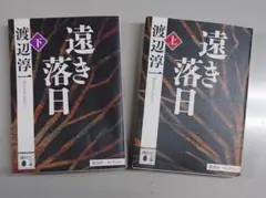 遠き落日 （上・下巻セット）/渡辺淳一