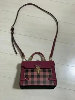 Samantha Vega アコーディオントート