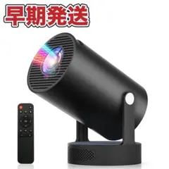 Item thumbnail for item 41baeaa0-28ec-46fd-aa49-2b45b30fc746