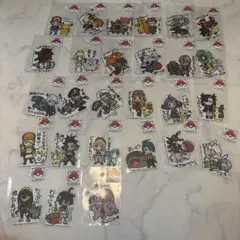 ポケモン　ビーサイドレーベル　トレーナーズ　コンプリート
