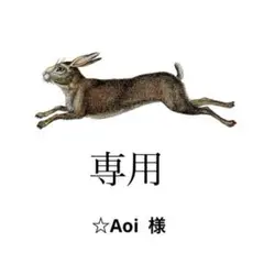 専用