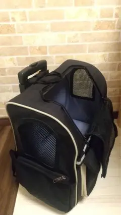 Item thumbnail for item f53f4240-6e5e-473b-a023-23171de71161