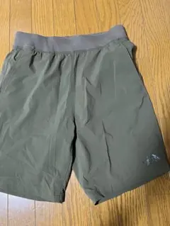 THE NORTH FACE ハーフパンツ