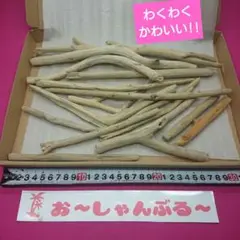 流木セットno.360