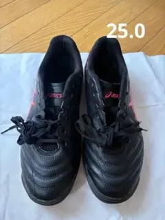 asics フットサルシューズ 体育館シューズ 25.0