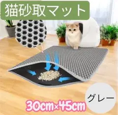Item thumbnail for item d345a0cb-f071-44c6-90d5-9d79bf4dfa55