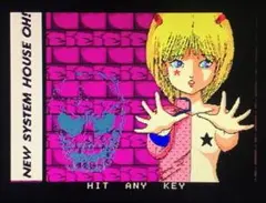 MSX2　3.5インチソフト　不思議の壁 SEXY VOICE