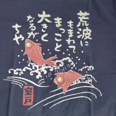 ご当地Tシャツ 紺色 Sサイズ　高知 室戸　金目鯛 未使用品