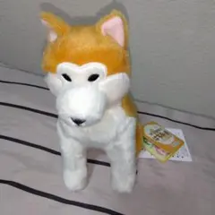 ほっこり秋田犬　はち兵衛