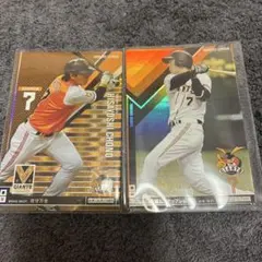 Item thumbnail for item 57c008a6-07b0-4e64-8786-735e6efe9613