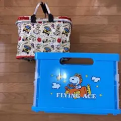 スヌーピークーラーバッグと収納ボックスセット