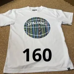 SPALDING カラフルバスケットボール Tシャツ 160