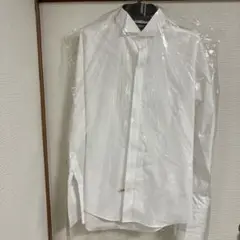 Item thumbnail for item 8d42a136-36f7-4cc0-8fcf-f07b2c65cb73