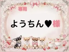 専用
