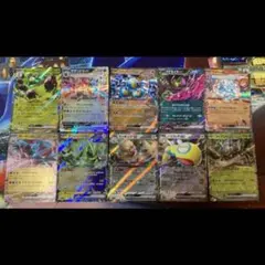 サザンドラex まとめ売り