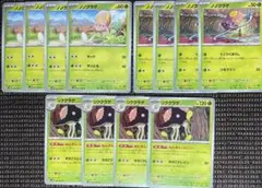 ポケモンカード　未来の一閃　リククラゲ　進化ライン　12枚　ねんきんコロニー