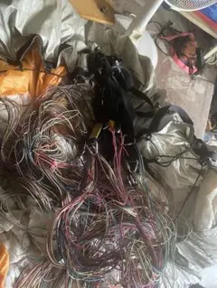 Item thumbnail for item a0fc9a81-50bf-4110-827f-3f1b46a17a52