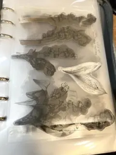 クリアスタンプ花②7枚セットꕤ*.゜￼