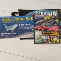 こどもの科学 12月号 新品未読