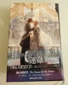 新品　FINAL FANTASY XV 小説 オフィシャルショップ初回限定BOX Amazon.co.jp: FF XV 小説 オフィシャルショップ初回BOX O