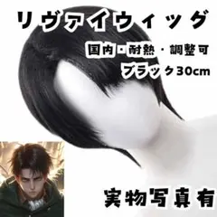 2025年最新】進撃の巨人+リヴァイ+コスプレ+ウィッグの人気