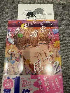 真夜中の俺を見て 2巻 ペーパー付き