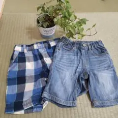半ズボン2点セット 100