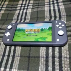 Nintendo Switch Lite グレー 本体