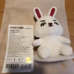 [MINITEEN] MAGNET PLUSH KEYRING