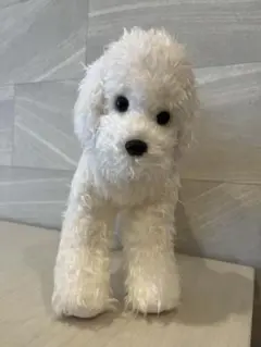 ニニアンドキノ　トイプードル　ホワイト　ぬいぐるみ