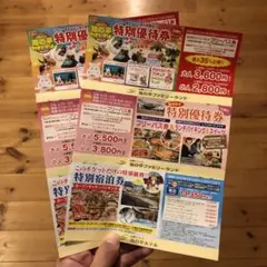 池の平ファミリーランド 割引券