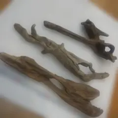 Item thumbnail for item 37faf6f4-6847-4e28-8927-984224a06728