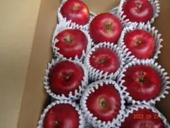 ■紅玉 4kg