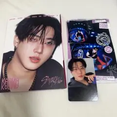 KARMA 開封済み アルバム CD アコーディオン チャンビン セット