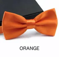 Item thumbnail for item 3f9af073-7686-4107-9b37-b83eb4272e2a