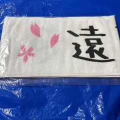 Item thumbnail for item 30fa0160-256d-460a-97fa-ebe16d008b99