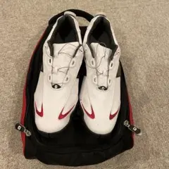 フットジョイ 26センチ