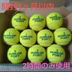 開封1ヶ月以内 2時間のみ使用 中古 ダンロップフォート テニスボール 10個