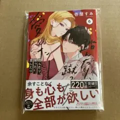 踏んだり、蹴ったり、愛したり 6