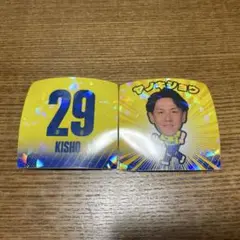 専用